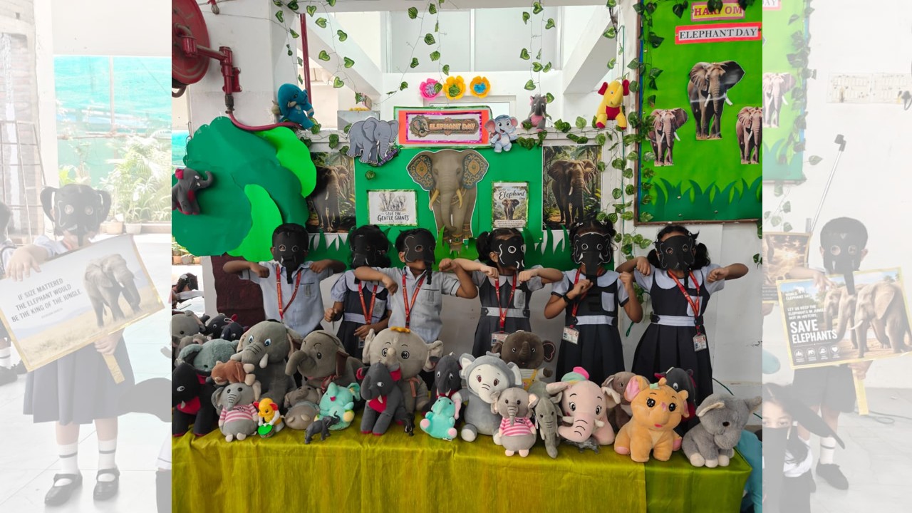 World Elephant Day Celebration